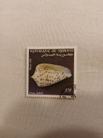 Timbre rare Djibouti 1983 - Coquillage Conus Jickelli