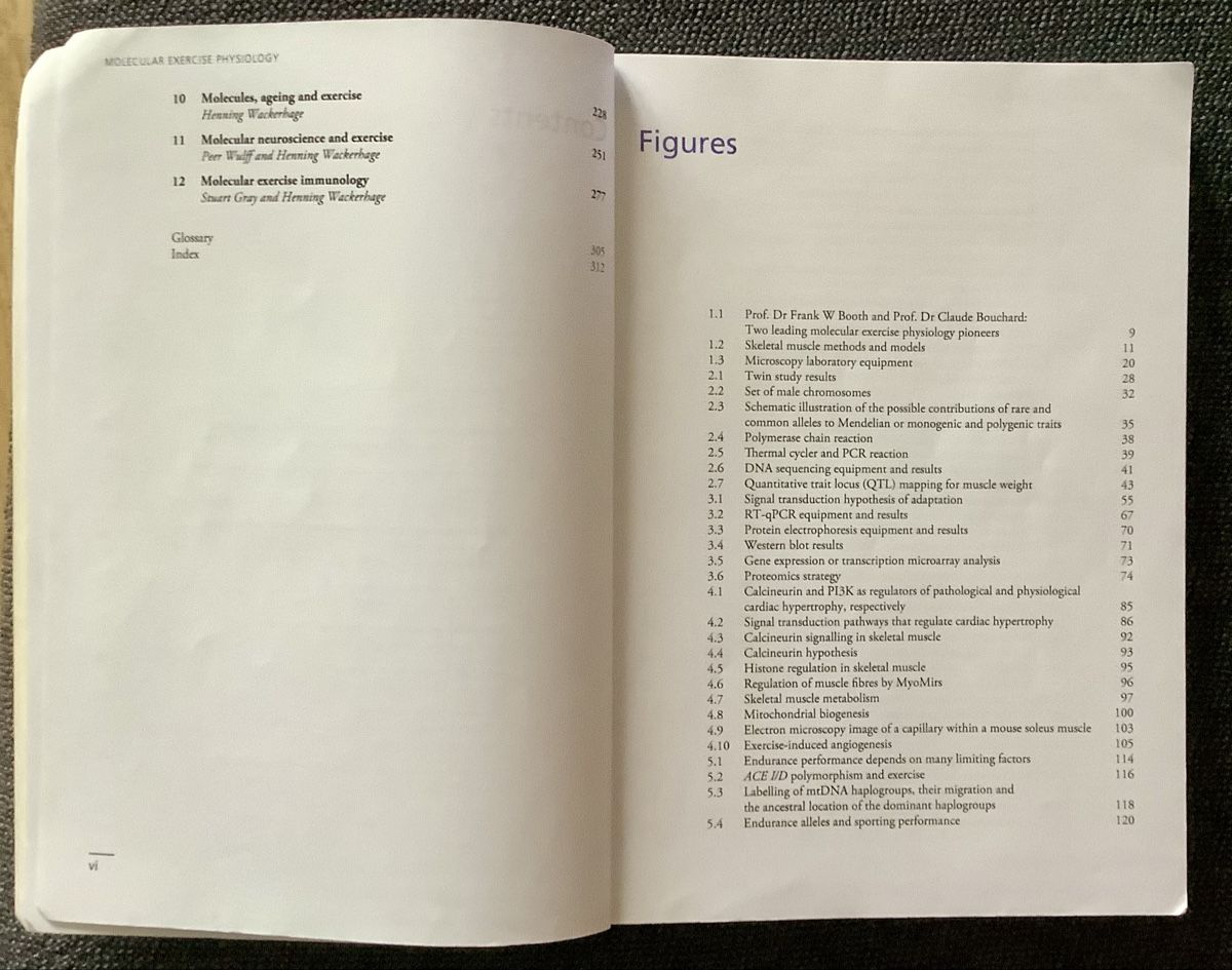 Libri: Molecular Exercise Physiology - Wackerhage, neuwertig! – Usato da Züberwangen venduto da benjause 4