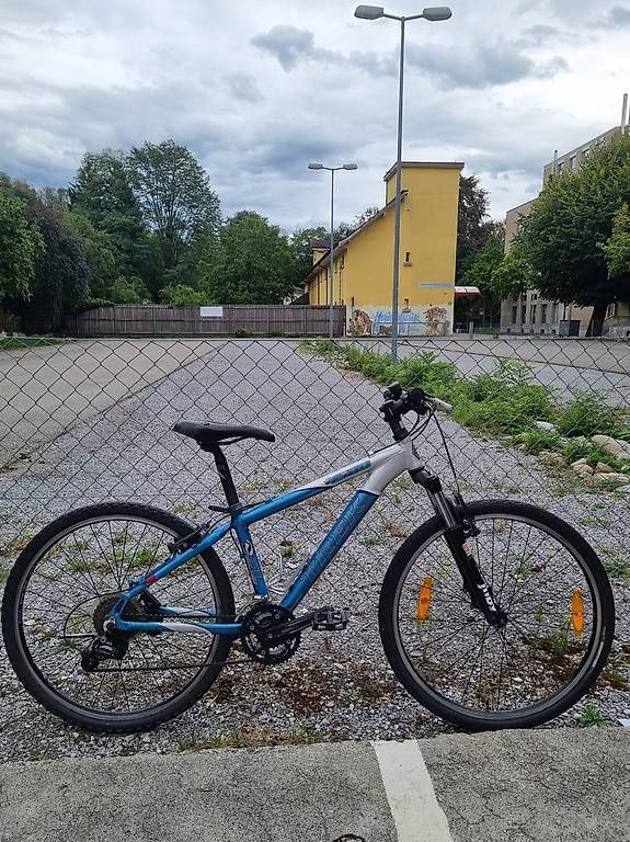 Biciclette: Trekking-/Mountainbike T-Rex – Usato da Steffisburg venduto da nat_zm6h
