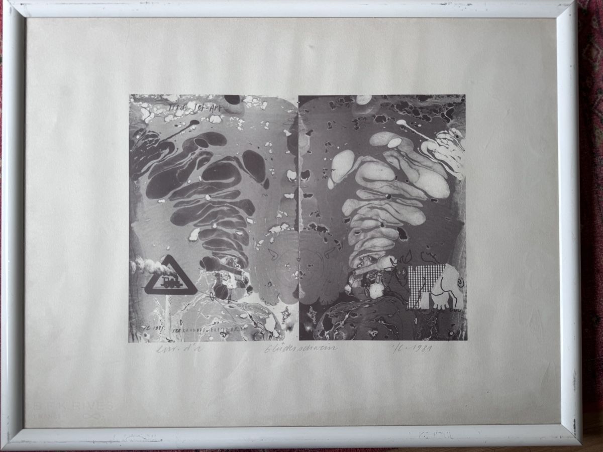 Grafica & Litografie: Lithographie – Usato da Riehen venduto da NatiC