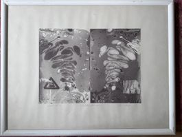 Lithographie