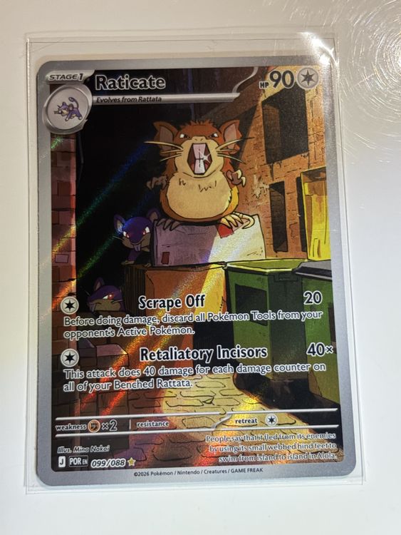 Pokemon Karte Perfect Order Raticate EN 099/088 (Gebraucht) in Galgenen ...