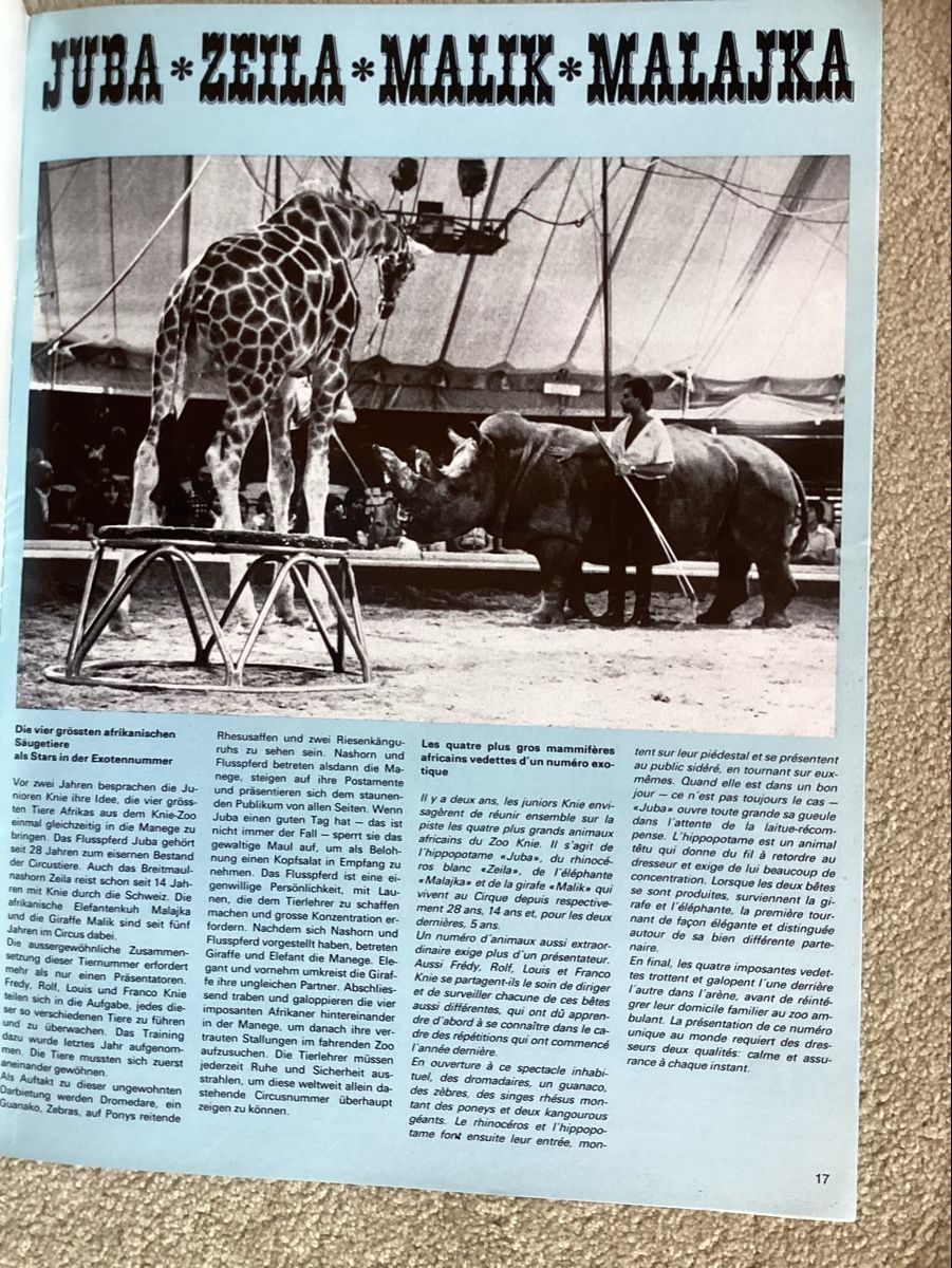 Riviste & Magazine: Circus Knie Illustrierte 1980 – Usato da Reichenbach i. K. venduto da astra2010 2