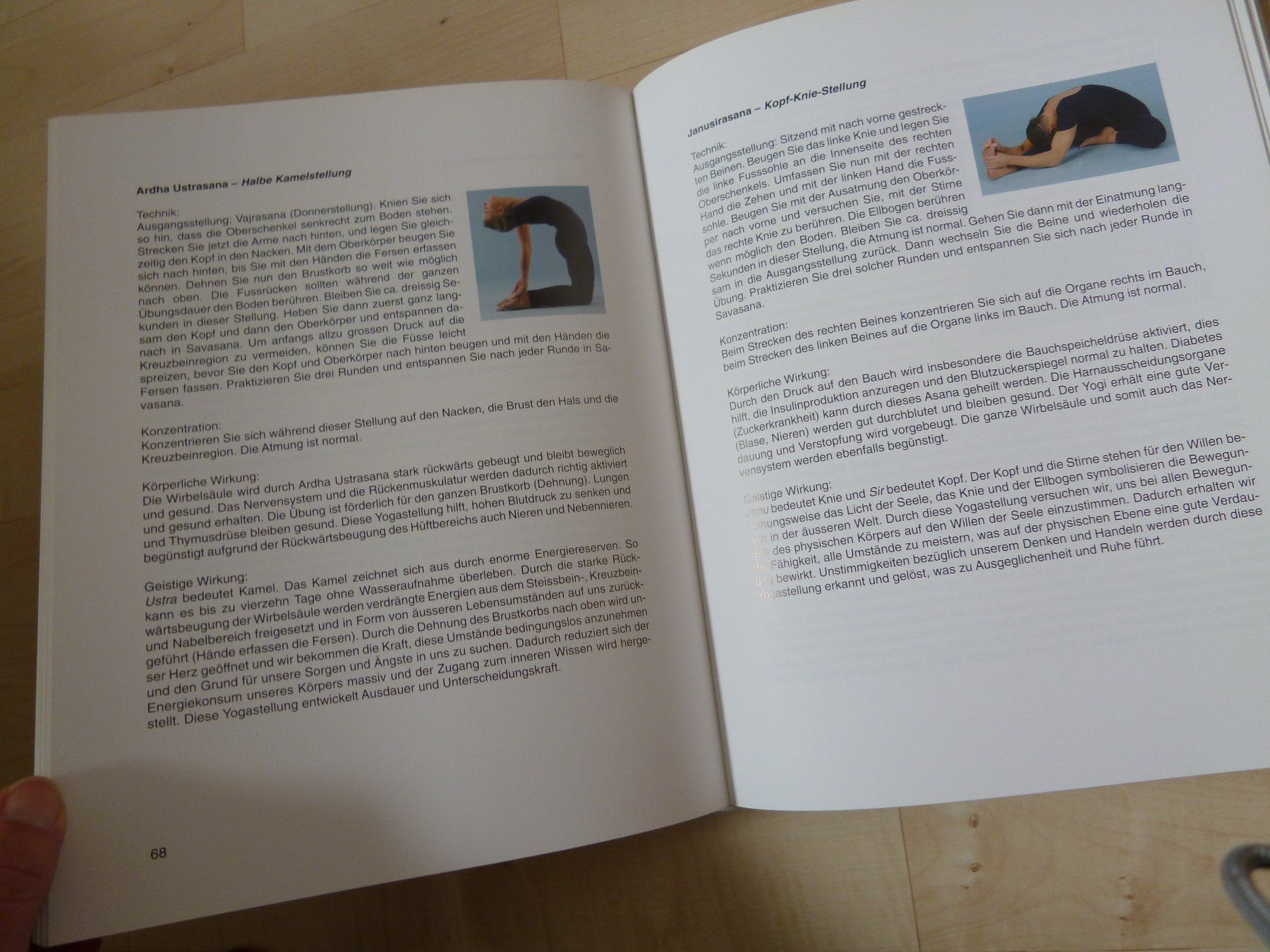 Libri: Yoga oder Liebe deinen Nächsten als dein Selbst - Janakanand – Usato da Dättlikon venduto da Mamakuga 6