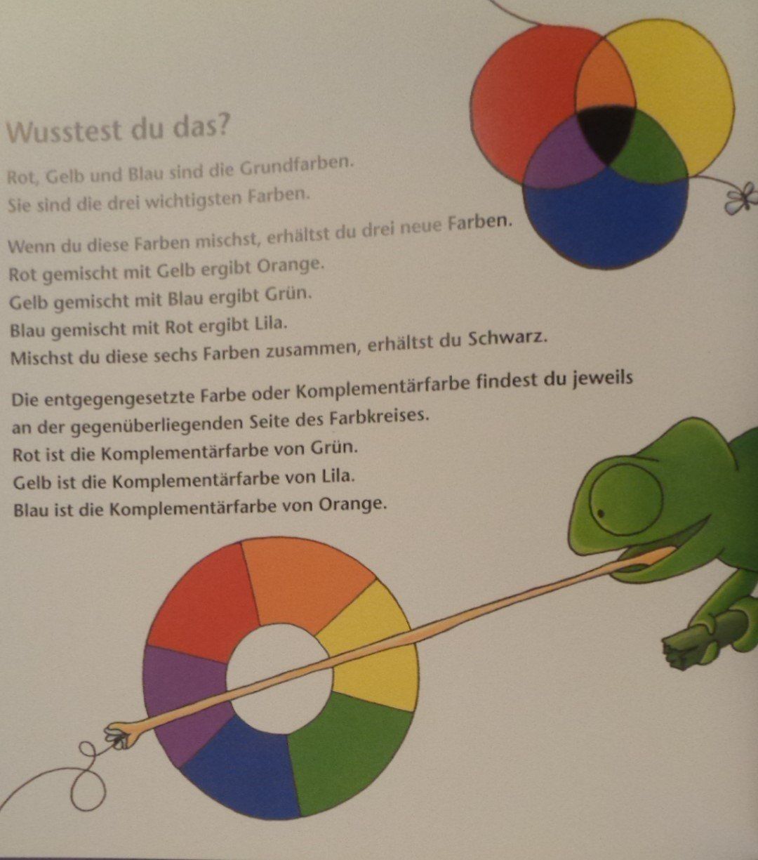 Bücher: Chamäleon Leon ist anders / Bilderbuch Mélanie Watt – Gebraucht aus Bellach von JingleJerry 8