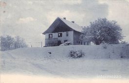 Zug // 1907 Haus im Schnee