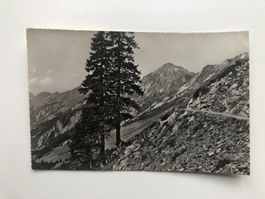 Am Wege Rothorn - Brünig