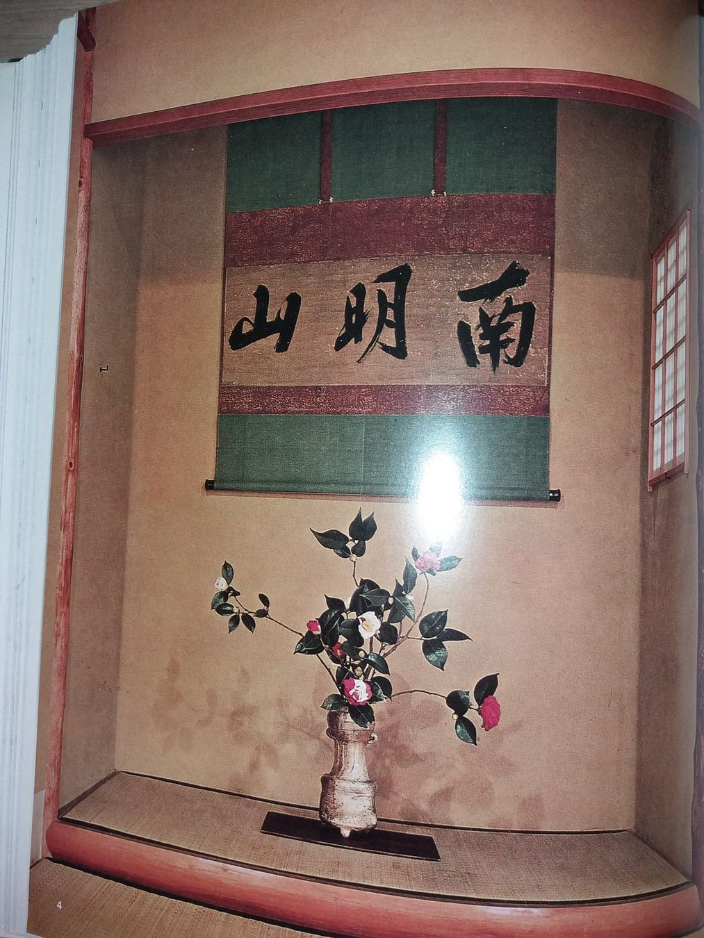 Libri: FASZINATION Ikebana japan – Usato da Welschenrohr venduto da Regool 5