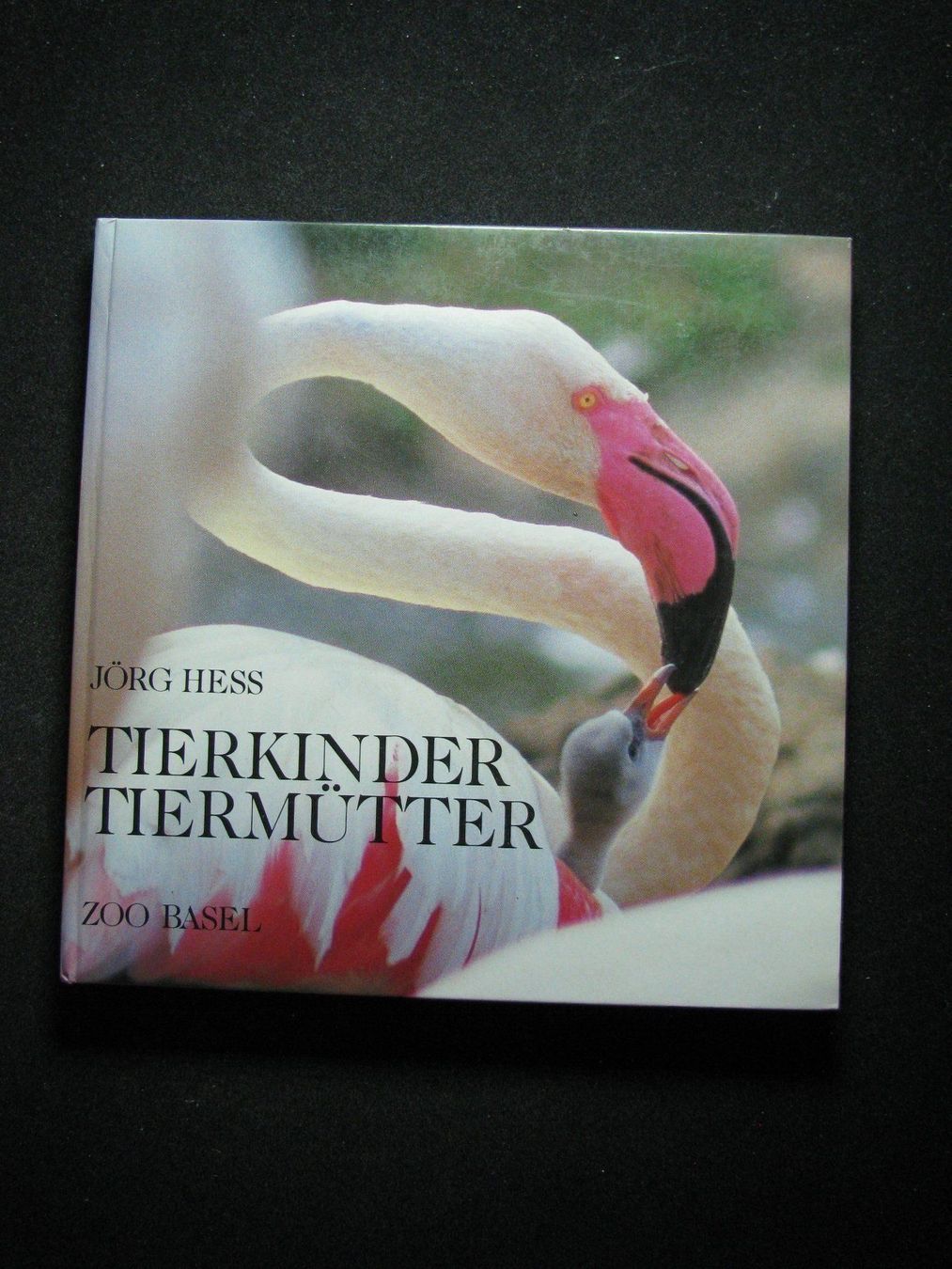 Libri: Jörg Hess Tierkinder Tiermütter – Usato da Reitnau venduto da Zaomir