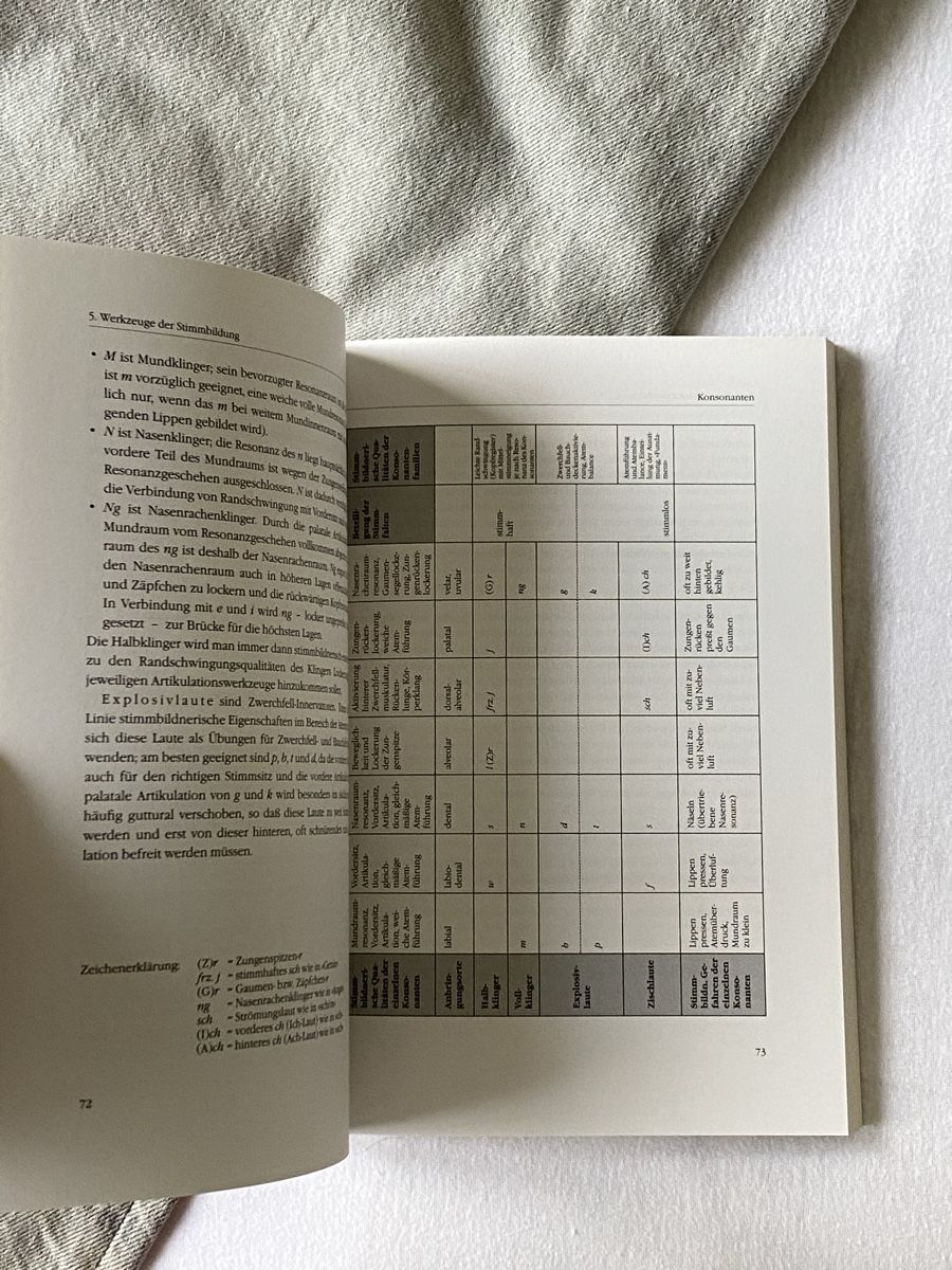 Libri: Handbuch Kinderstimmen – Nuovo (secondo la descrizione) da Möhlin venduto da ser_85rz 3