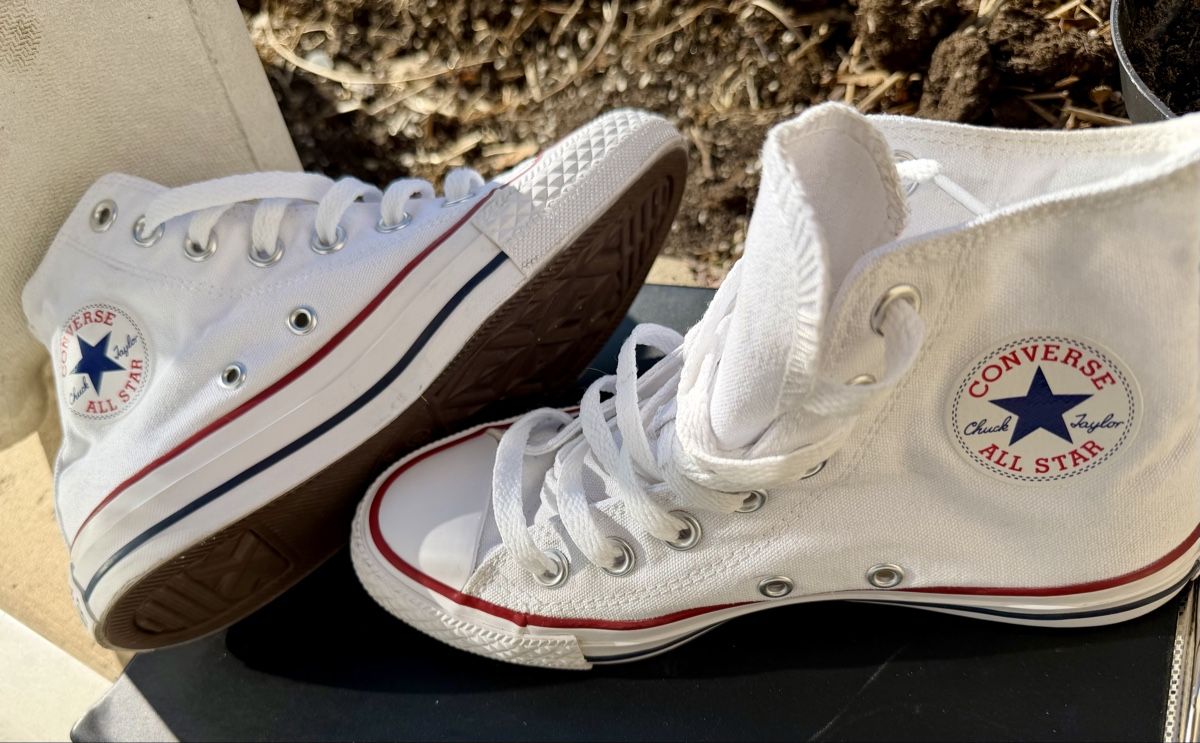 Converse Herrenschuhe: Baskets montantes Converse All star – Neu (gemäss Beschreibung) aus Carouge GE von orc_88rq