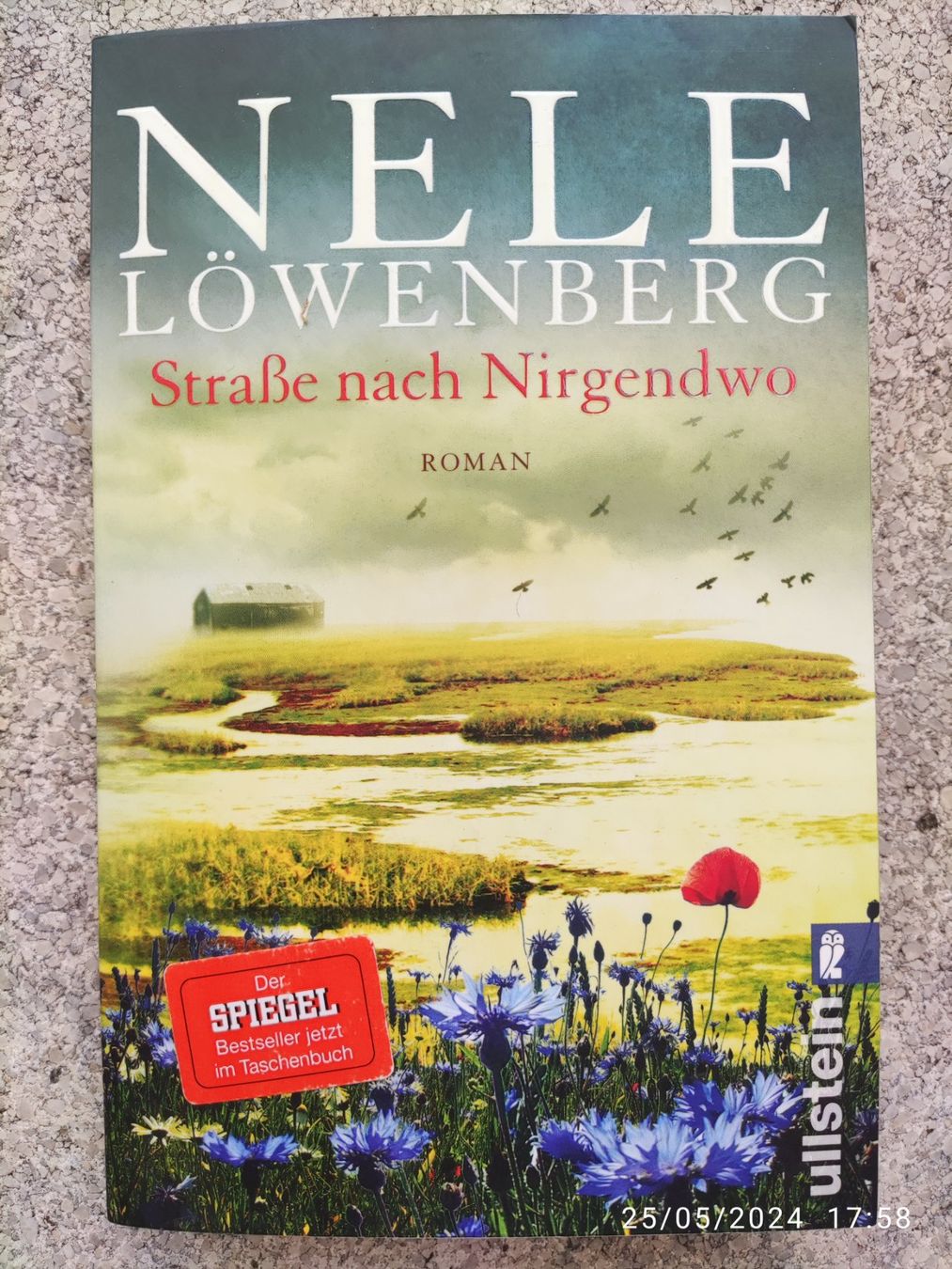 Libri: Nele Löwenberg Straße nach Nirgendwo – Usato da Basel venduto da Alacant