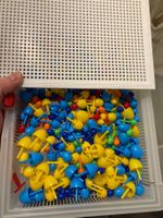 Quercetti Mosaik Spiel, ideales Spielzeug für Kinder