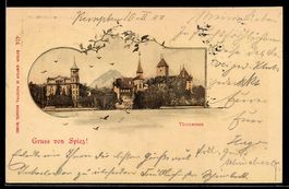 AK Spiez, Thunersee, Schloss und Uferpartie
