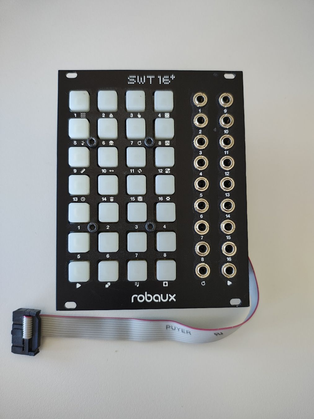 Musikinstrumente: Eurorack Modul Robaux SWT16+ – Gebraucht aus Zürich von lastsec