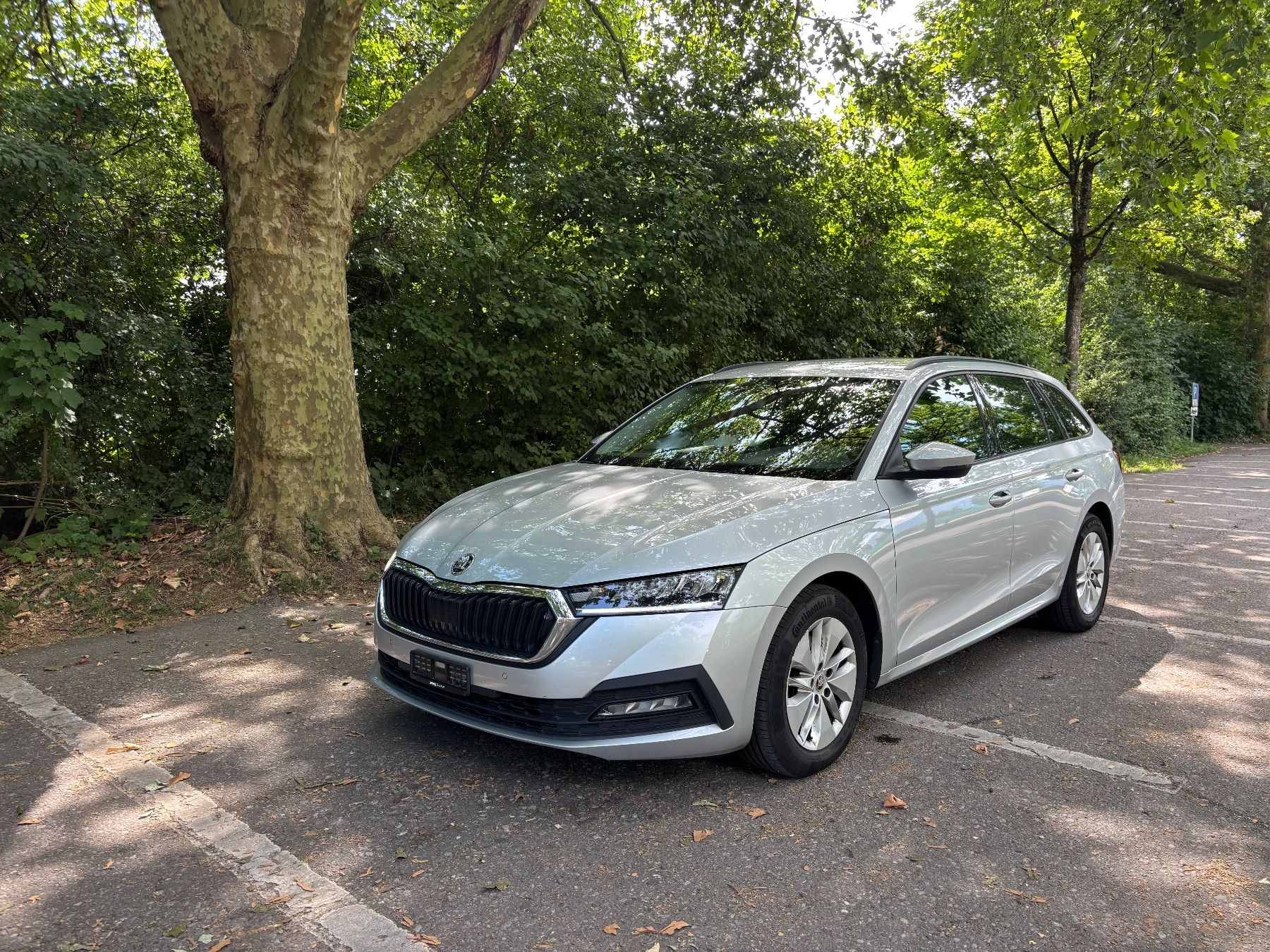 Skoda Automobili: Skoda Octavia 2.0 TDI 4x4 – Usato da Luzern venduto da daci123
