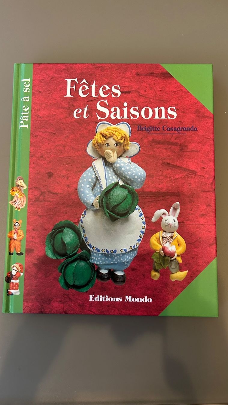 Libri: Livre pâte à sel – Nuovo (secondo la descrizione) da Bramois venduto da Chrisvol