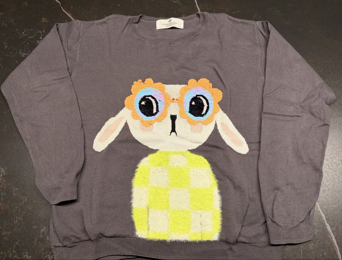 H&M Maglioni & Felpe: Lustiger Mädchen Pullover – Nuovo (secondo la descrizione) da Rothenburg venduto da Michi083