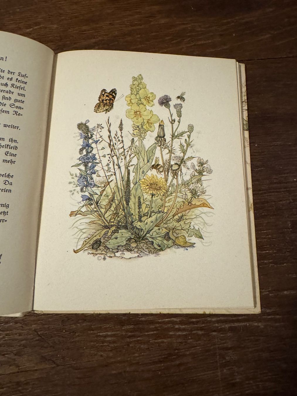 Bücher: Buch Die vom Wegrain Marga Müller E. Wenz-Dietor 1940 – Gebraucht aus Rifferswil von reb_jpx2 2
