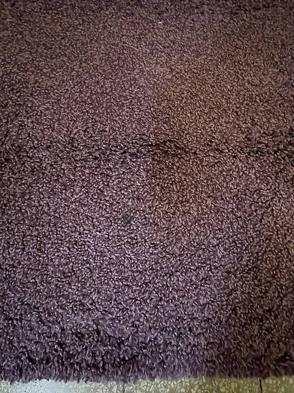 Tappeti: Vendo tappeto viola – Usato da Maroggia venduto da ila_bb5l 1