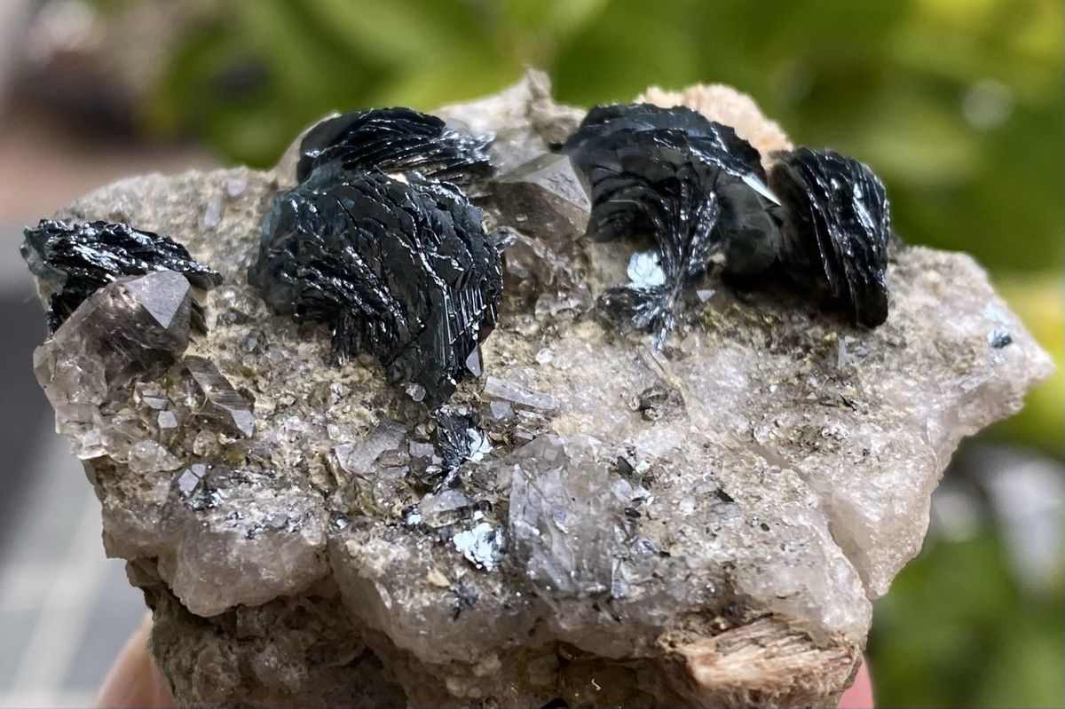 Minerali & Pietre curative: Wunderschöne Eisenrosen  – Usato da Selzach venduto da 321compac 9