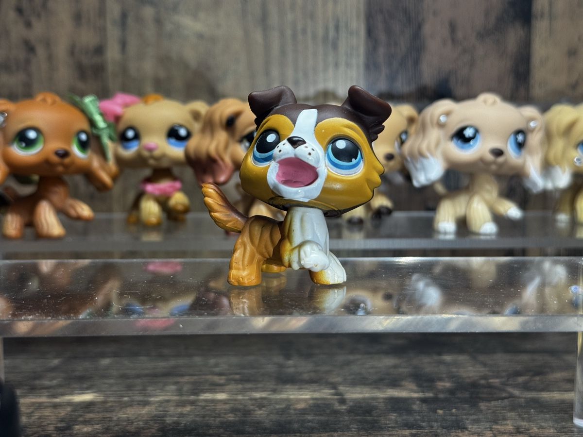 Hasbro Jouets: Littlest pet shop Collie – D'occasion à Luzern par Maja.C