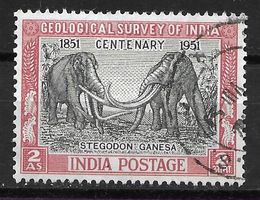 Indien 1951: Urelefanten