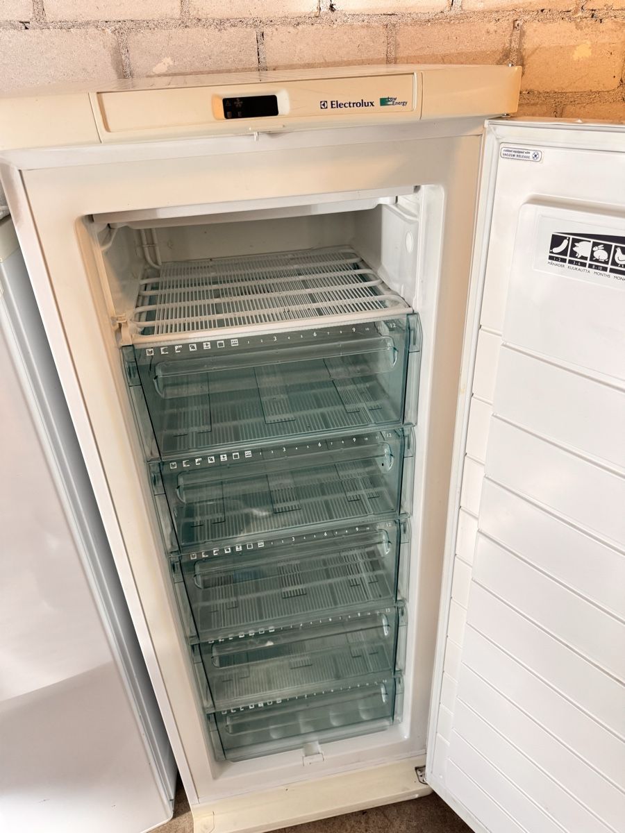 Congelatori: Gefrierschrank Electrolux Energy low – Usato da Horw venduto da dancav 1