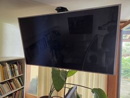 samsung tv 55zoll