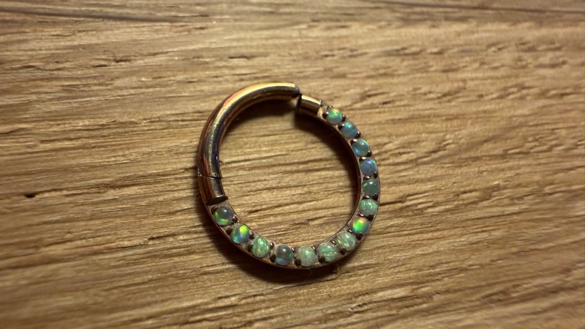 Gioielli per piercing: 7 Clicker Segment Rings - Septum Ear – Usato da Gebenstorf venduto da D0minika 3