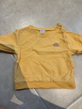 Pull bébé