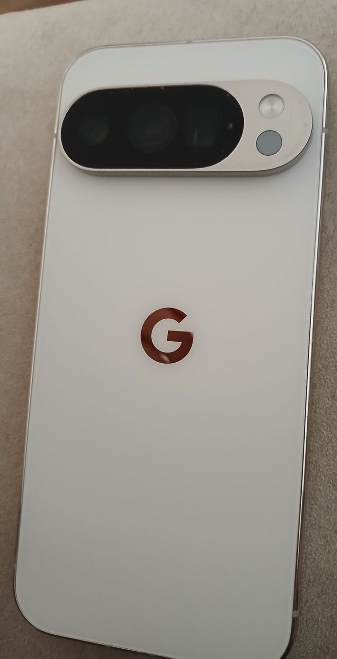 Google Telefoni cellulari / Smartphones: Google Pixel 10 XL Pro – Usato da Düdingen venduto da AlenaZ93