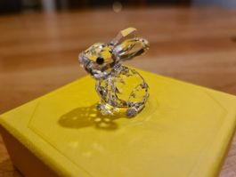 Swarovski Figur Baby Hase neu und OVP 