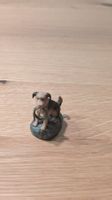 Tonie 5 Freunde - Timmy der Hund