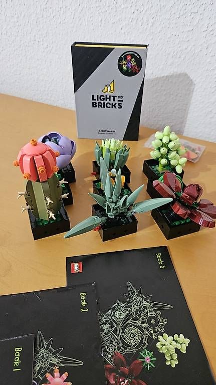 Lego Giocattoli: Sukkulenten 10309 LEGO Botanical & bricks LED Licht Set – Usato da Ebmatingen venduto da RetroVans 1