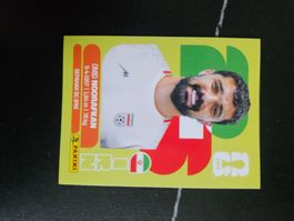 IRN 14
