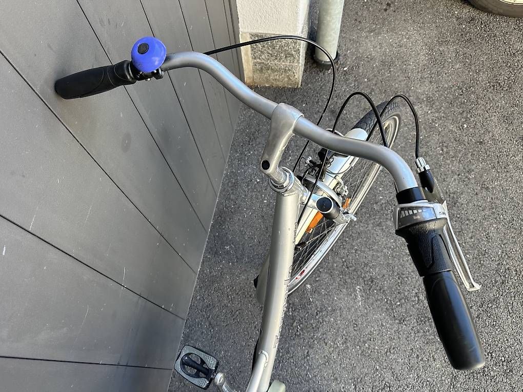 Velos: Bicicletta da donna Torpedo 28 – Gebraucht aus Quartino von DiloUsato 4