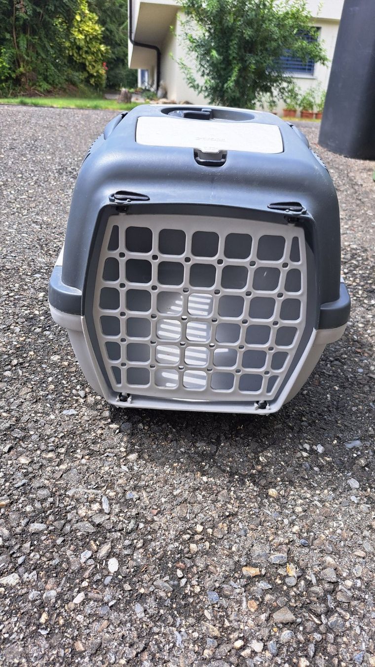 Gabbie, trasporto & Sicurezza: Transport Box Kaninchen/Katze – Usato da Azmoos venduto da MartinaK01 1