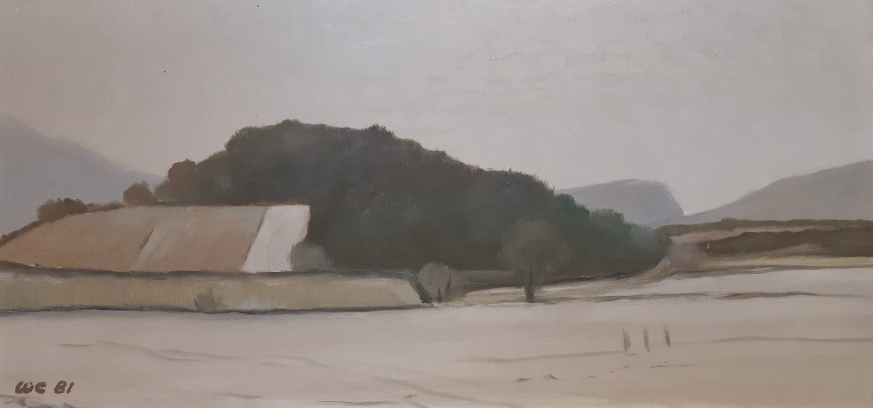 Dipinti: W. Eigenheer (1910-2002) beau paysage vs – Usato da Lausanne venduto da leneko 1