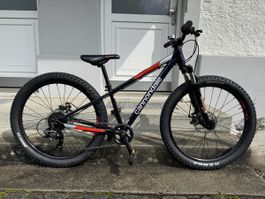 Cannondale Trail 24 fat bike