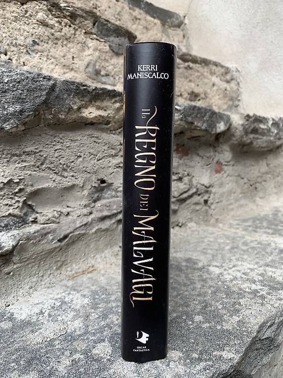 Libri: Il regno dei malvagi, Kerri Maniscalco – Usato da Roveredo GR venduto da ppe_xcs9 1