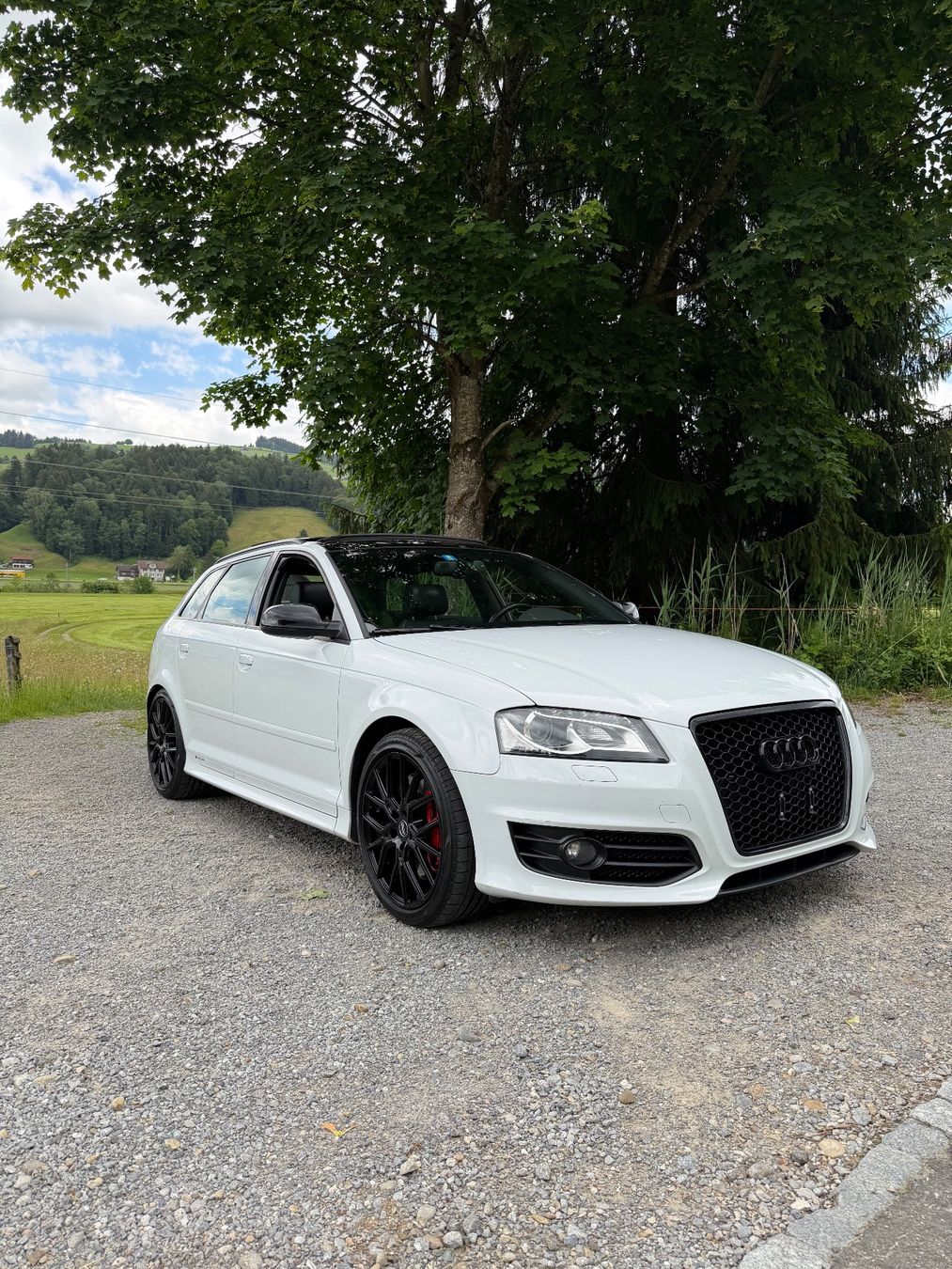 Automobili: Einzigartiger Audi S3 mit Audi EXCLUSIVE – Usato da Ulisbach venduto da sc.performance 2