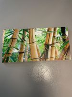 Bild auf Leinwand (Bambus) 45cm x 90cm