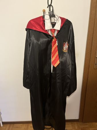 Harry Potter costume 