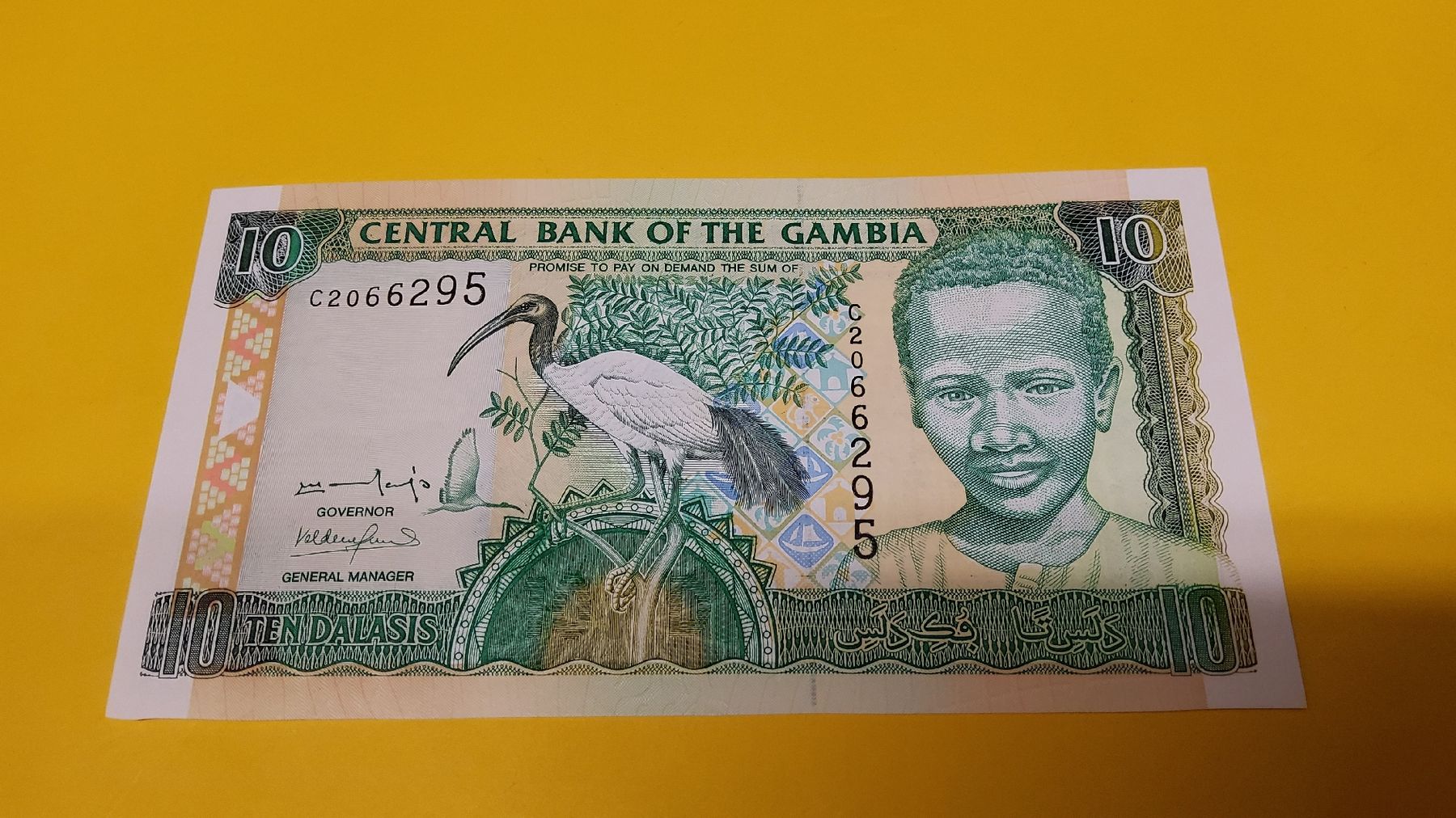 Banknoten: Original 10 Dalasis Banknote aus Gambia, Top – Neu und originalverpackt aus Herisau von Nluanalucas