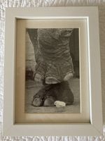Verschiedene Fotos in Rahmen