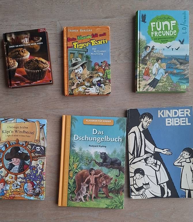 Libri: 6 Kinderbücher – Usato da Solothurn venduto da Didi38