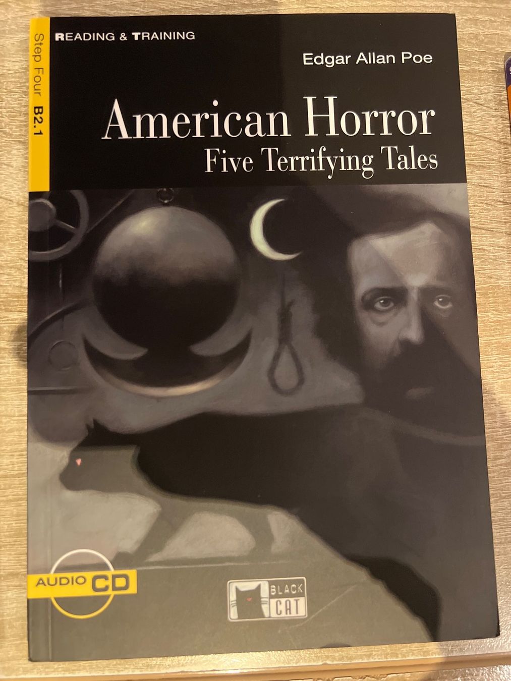 Libri: Horror-Bücher Sammlung: Horowitz, Doyle, Poe, Blake, King – Nuovo (secondo la descrizione) da Stalden VS venduto da Mister_20 2