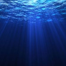 Profile image of BlueSea