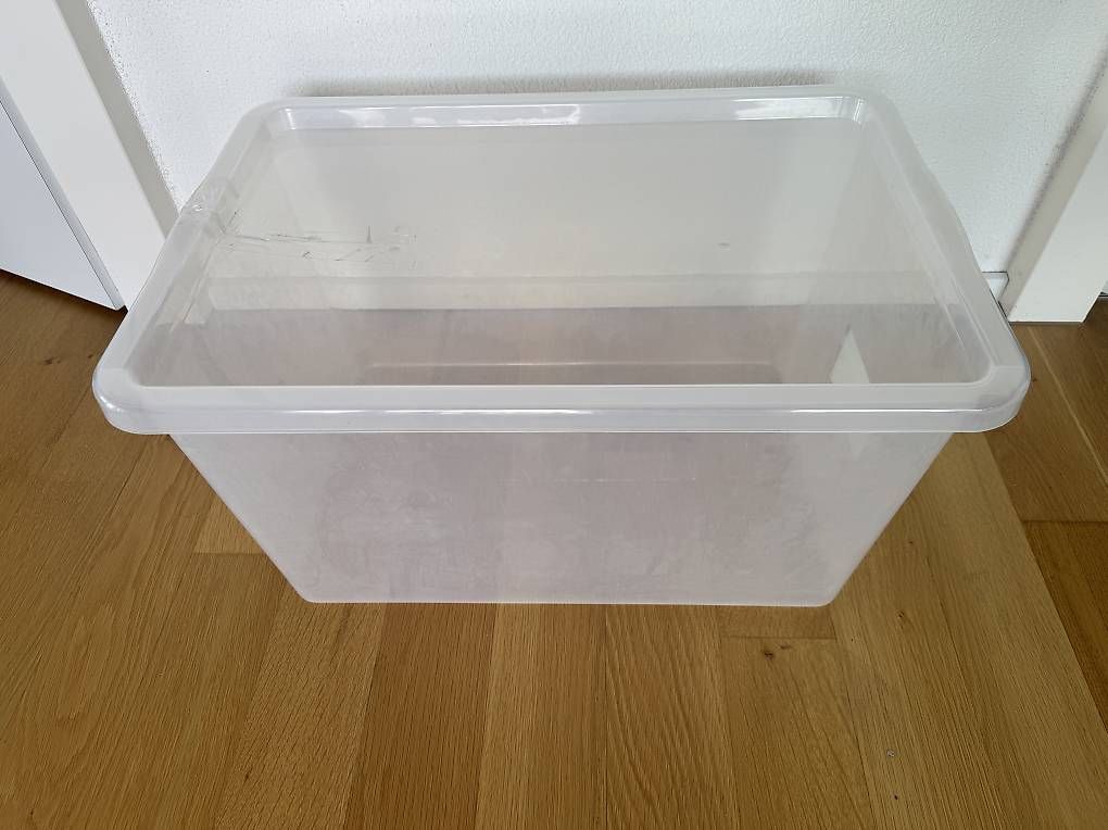 Recipients et similaires: Aufbewahrungsbox mit Deckel – D'occasion à Bern par mon_2lbl